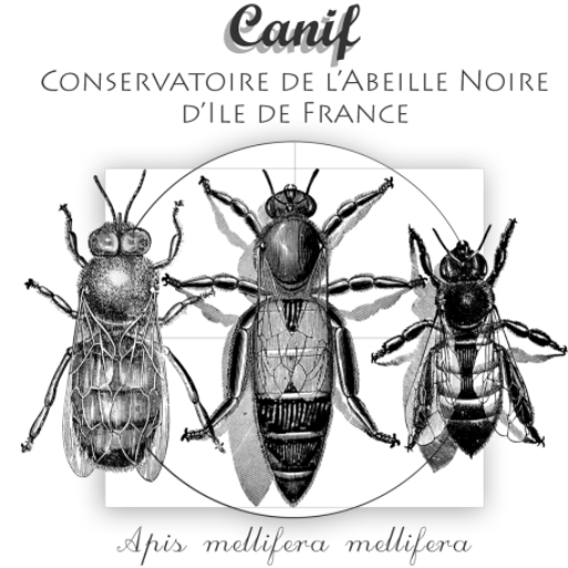 Conservatoire de l’Abeille Noire d’Île-de-France