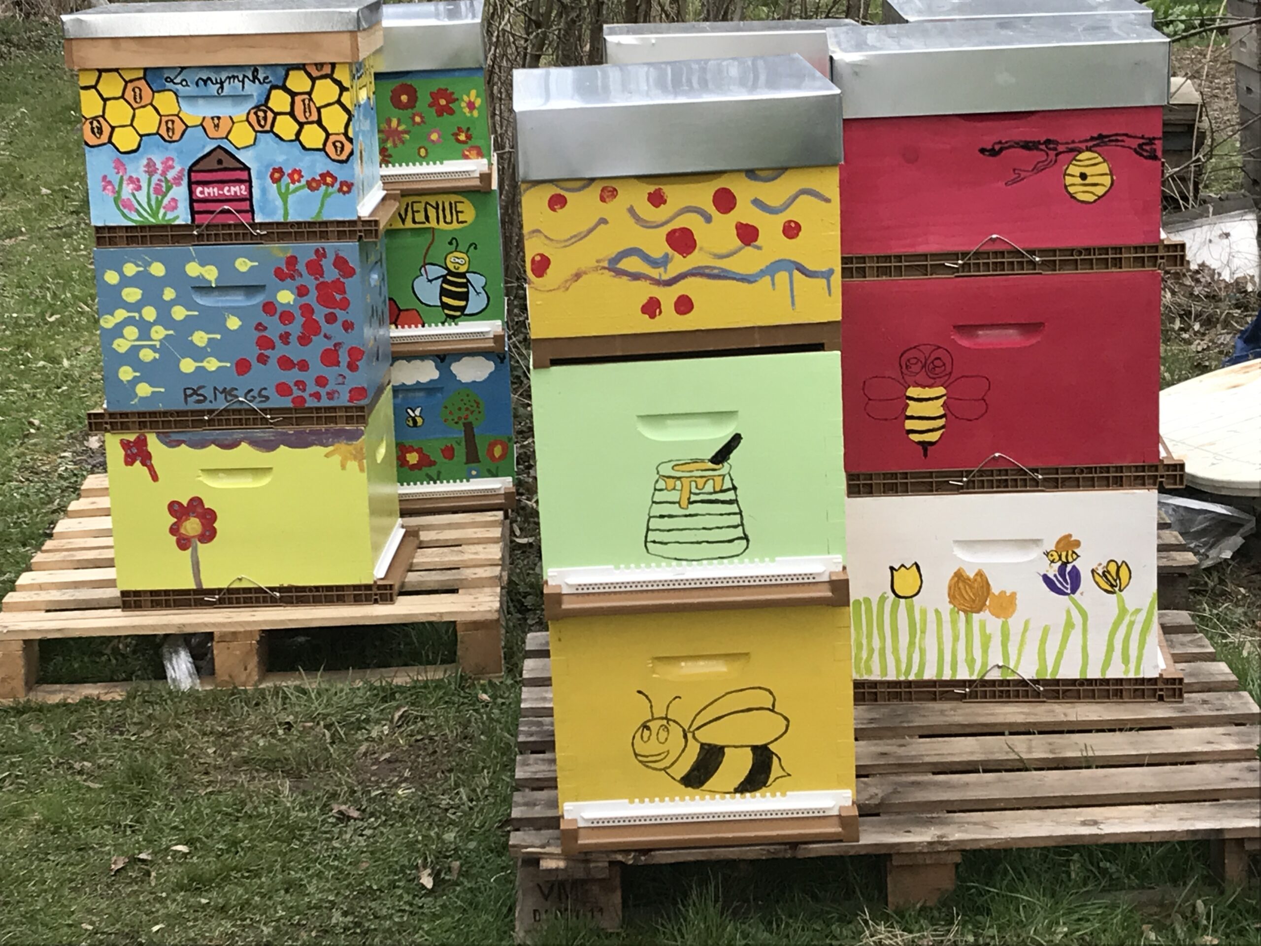 Bientôt de nouveaux ruchers !